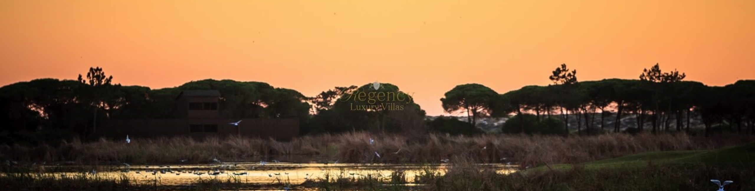 Luxury Villas Rentals In The Quinta Do Lago Resort Regency Luxury Villas