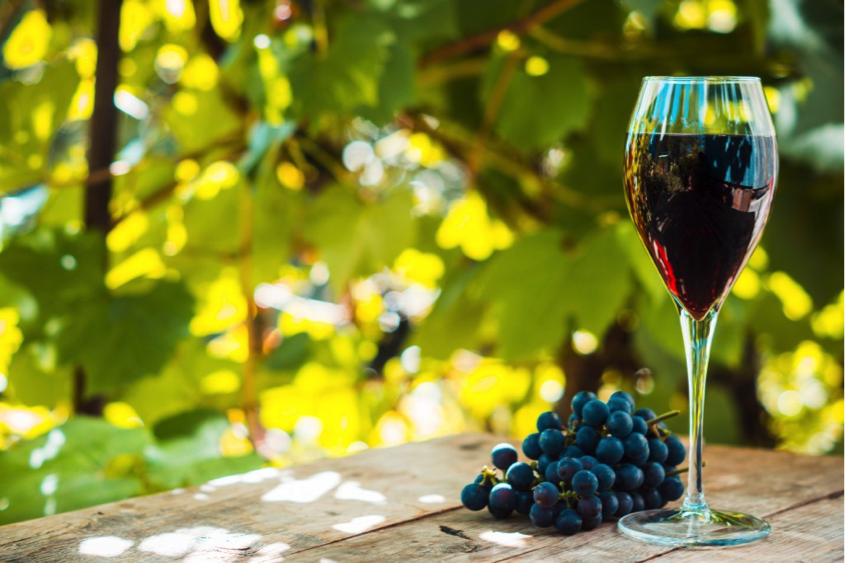 Here’s A Toast To Portugal’s Wineries & Vineyards