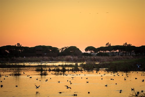 Luxury Villas Rentals In The Quinta Do Lago Resort Regency Luxury Villas